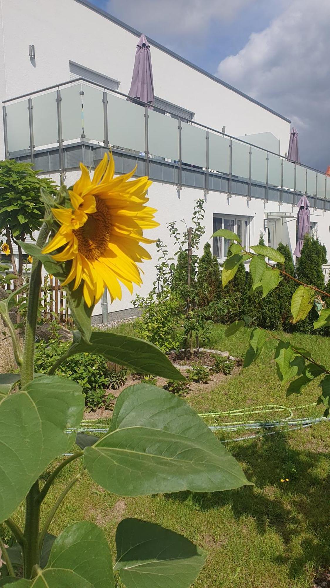 Ferienwohnungen "Godewind", Appartements Mit Balkon Oder Terrasse Zinnowitz Esterno foto